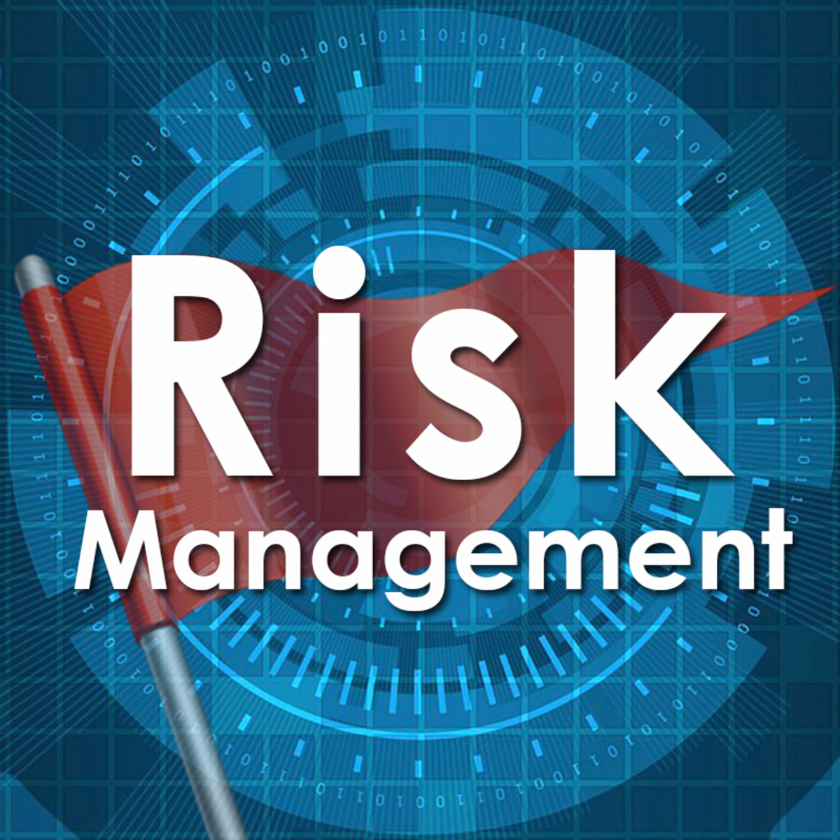 FinTech Risk Management