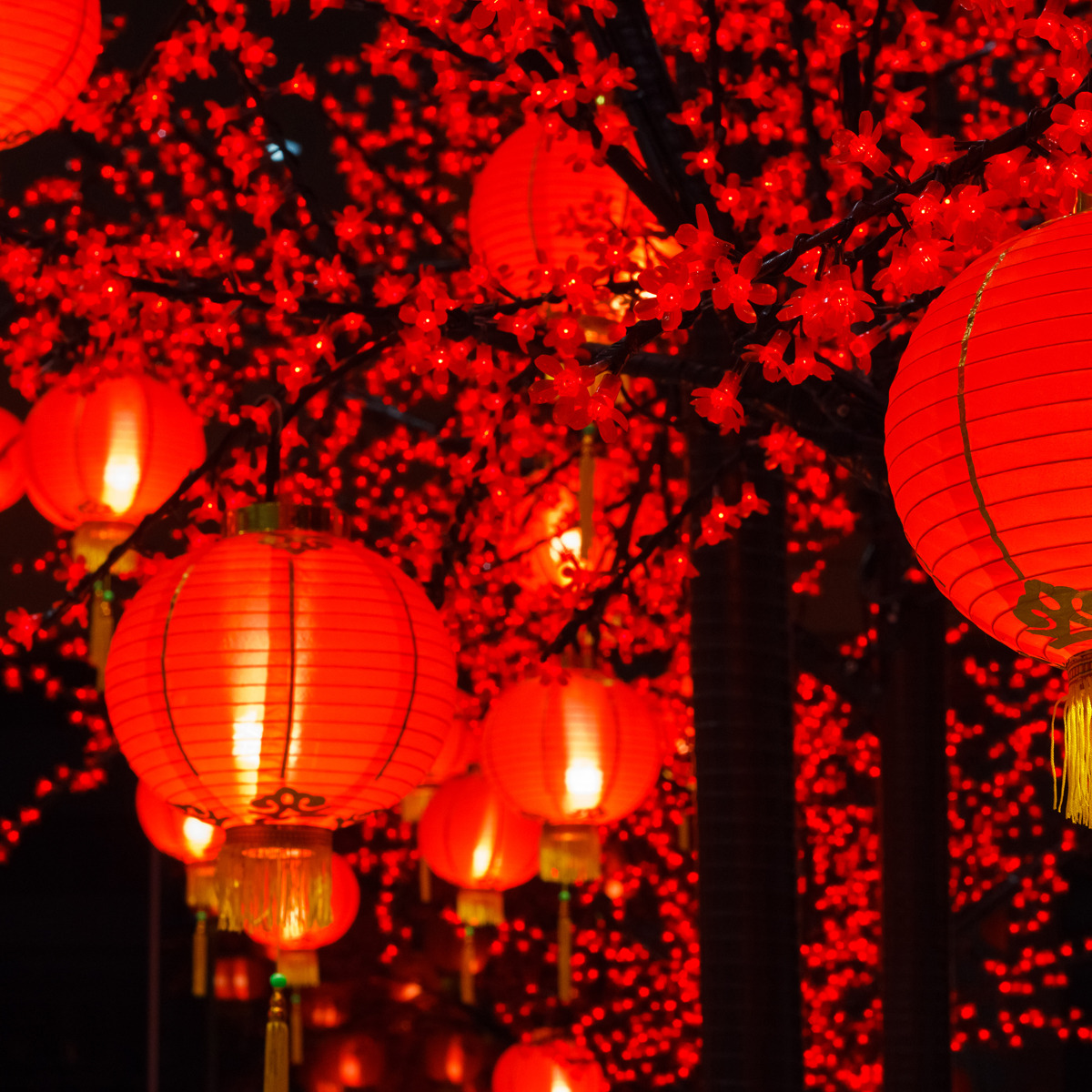 Understanding China, 1700-2000: A Data Analytic Approach, Part 2